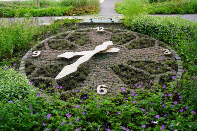 Vorschaubild Blumenuhr
