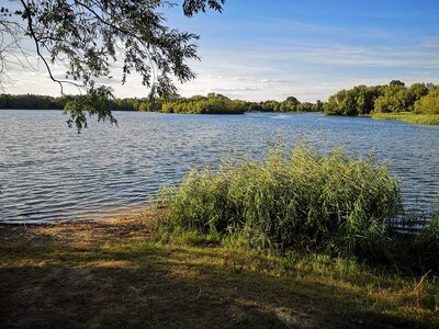 Vorschaubild Ditfurter See