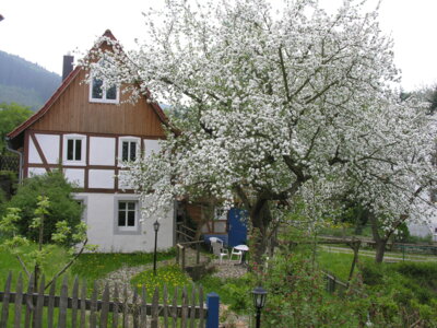 Vorschaubild Ferienhaus**** Brunnhäusl - Familie Weber-Beintmann