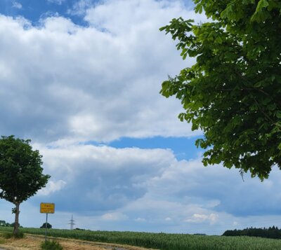 Vorschaubild Trent