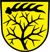 Vorschaubild Jugendfeuerwehr Dornstetten