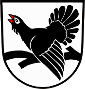 Vorschaubild Jugendfeuerwehr Seewald