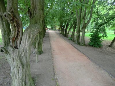 Vorschaubild Förderverein Bismarckpark Schönhausen (Elbe) e.V.