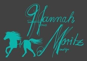 Vorschaubild Horsemanship – Hannahs Pferdetraining