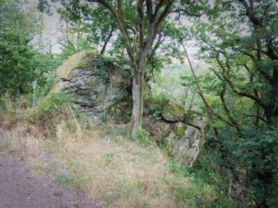 Vorschaubild Naturdenkmal Guckelstein