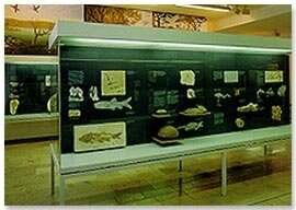 Vorschaubild Meteorkrater-Museum Steinheim