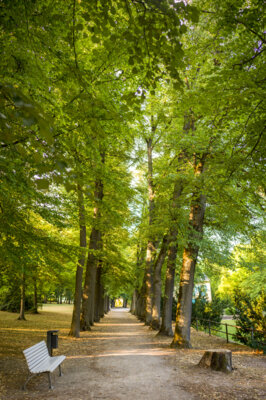 Vorschaubild Kurpark