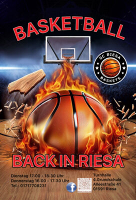Vorschaubild Basketball