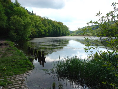 Möllendorf