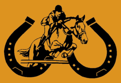 Vorschaubild Reitverein Wiesengrund Bad Schmiedeberg e.V.