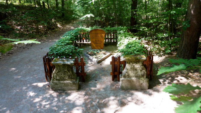 Vorschaubild Wandern im Naturpark Dübener Heide