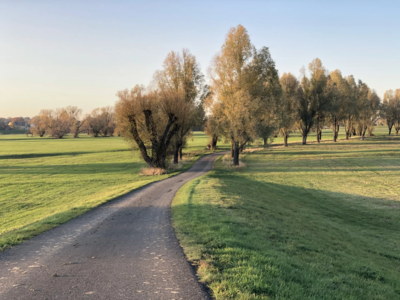 Vorschaubild Radwandern am Elberadweg