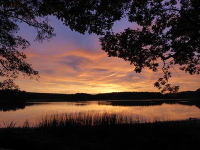 Großer Lausiger Teich - Foto: S. Plato