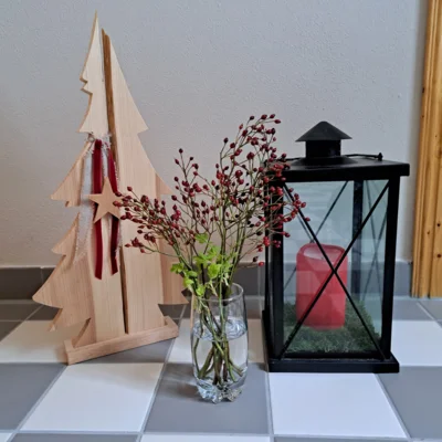 Ferienwohnung Hanspach