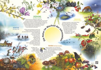 Vorschaubild Die Natur im Wandel der Jahreszeiten