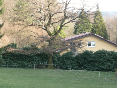 Ferienwohnung Haus am Lenzbach