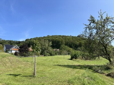Vorschaubild Der Berg "Aichelberg"