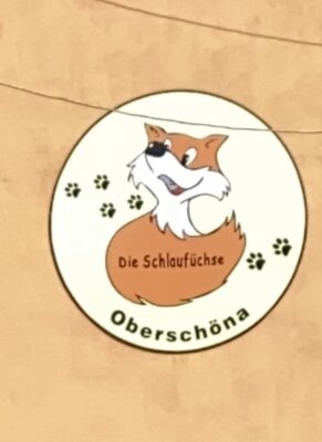 Hort Schlaufüchse