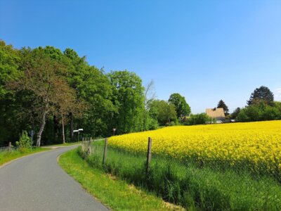 Vorschaubild Gaudlitz