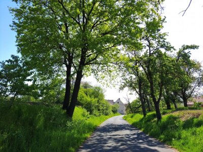 Vorschaubild Seelitz