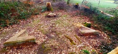 Vorschaubild Galgensteine auf dem Galgenberg