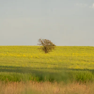 Vorschaubild Wangern mit Hinterwangern