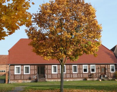 Bild von Ferienhaus Schmidts Naturhof
