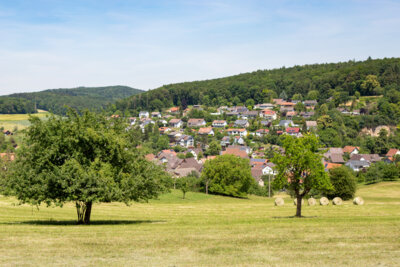 Bild von Förderverein Dorfgemeinschaft Riedlingen e.V.
