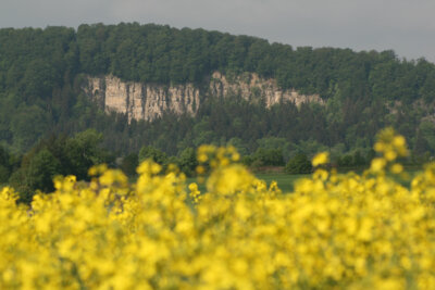 Vorschaubild Ferienwohnung Bergblick