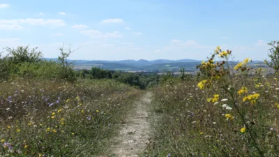 Vorschaubild Nachtigallenweg - Nationalparkwanderweg
