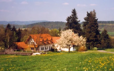 Ferienbauernhof Reisighof - ab 20,00 €