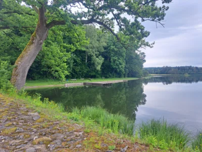 Vorschaubild Schnerzhofer Weiher