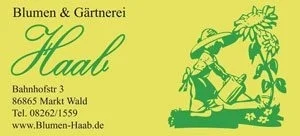 Vorschaubild Ludwig Haab