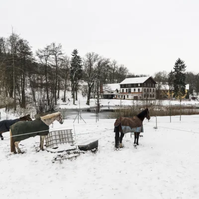 Reiter- und Bauernhof Leifer
