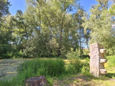 Vorschaubild Biotop am Meister-Eckart-Radpilgerweg Westhausen
