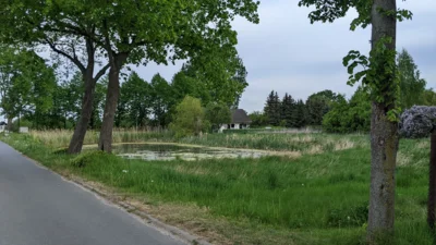 Vorschaubild Zolkendorf