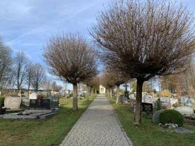 Friedhof Schönbrunn