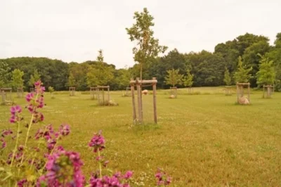 Vorschaubild Friedhof