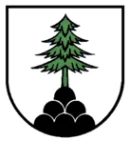 Freiwillige Feuerwehr Fichtenberg