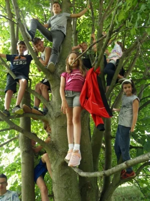 Vorschaubild Ferienlager "Gr&uuml;ne Schule Grenzenlos"