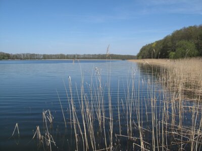 Klostersee in Altfruiedland
