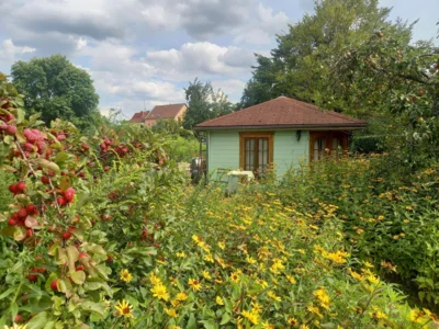 Vorschaubild Caf&eacute; im Kr&auml;utergarten