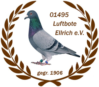 Vorschaubild Brieftaubenverein 01495 Luftbote Ellrich e. V.