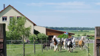 Vorschaubild Reiterhof Drechsler
