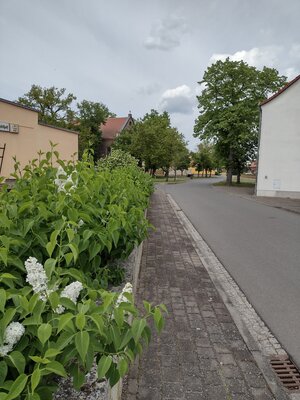 Vorschaubild Ortschaft Dietrichsdorf