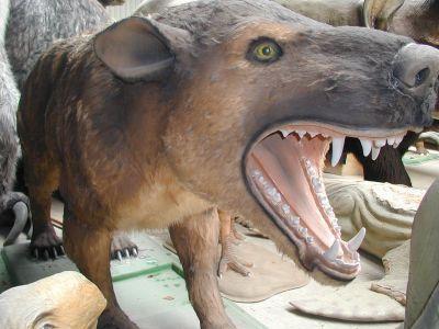 Foto zu Meldung: Sommerausstellung „Von Sauriern und Säbelzahntigern“: Urzeithyänen und Amphibien aus dem Erdaltertum