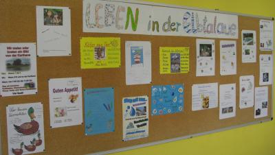 Foto zur Meldung: Schulprojekt  "Leben in der Elbtalaue"