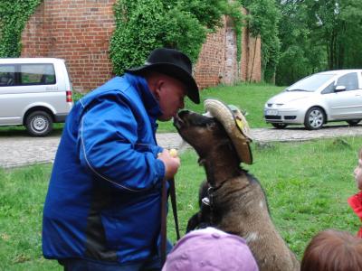 Foto zur Meldung: Kindertag mit vielen Tieren