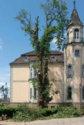 Aufräumarbeiten in Mühlberg gehen weiter (Bild vergr&ouml;&szlig;ern)