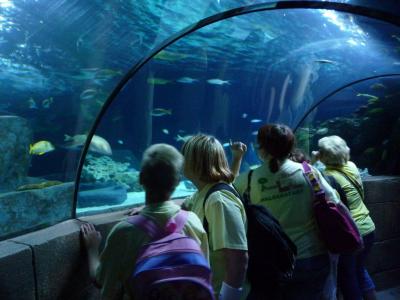 Schulfahrt ins Sealife-Center Hannover (Bild vergr&ouml;&szlig;ern)